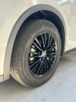 Venucia V-Online 2024 - Imagen 9