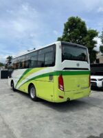 Golden dragon - Imagen 5